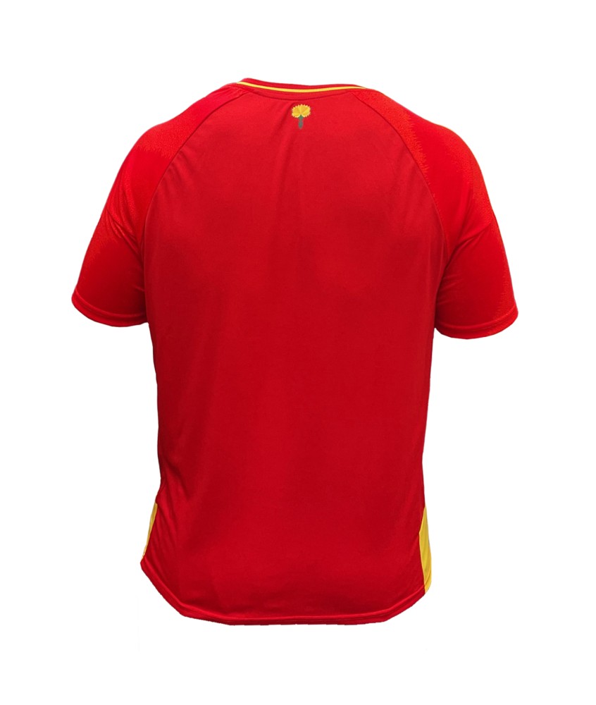 Camiseta De La Selección Española Lamine Yamal 19 – Réplica Oficial Para Adulto, 100% Algodón, Cuello Redondo